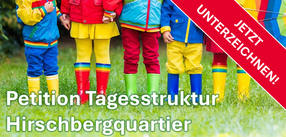 Petition Tagesstruktur Hirschbergquartier